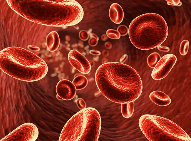 Užívání železa je důležité pro hemoglobin, který zásobuje orgány kyslíkem.